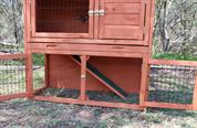 Aspen Double Storey Hutch for Rabbits or Guinea Pigs
