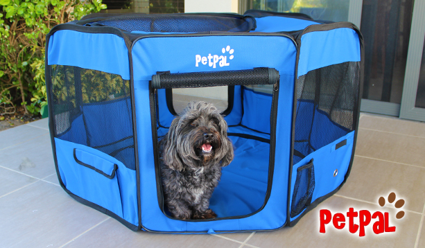 Petpal Soft Playpen for Dogs - Royal Blue