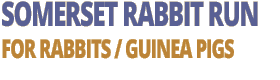 Somerset Rabbit Run